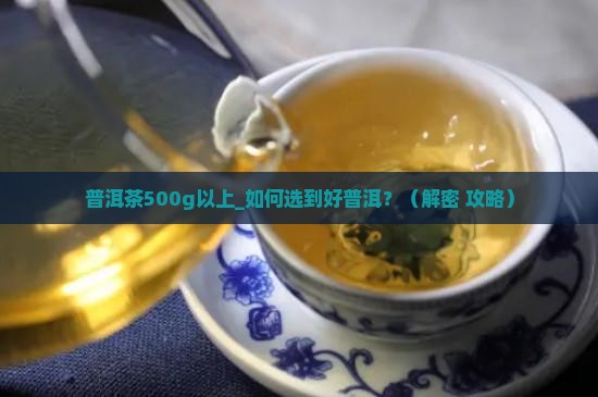 普洱茶500g以上