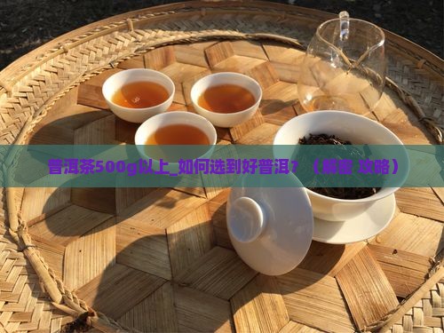 普洱茶500g以上