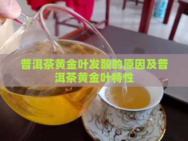 普洱茶黄金叶会不会发酸