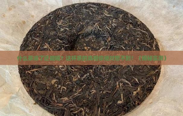 什么茶凉了可以喝