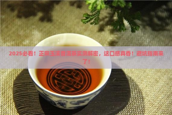 正宗玉溪生产的普洱茶