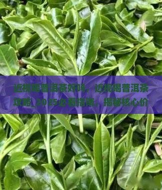 近视喝普洱茶好吗