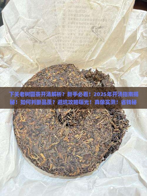 下关老树圆茶开汤