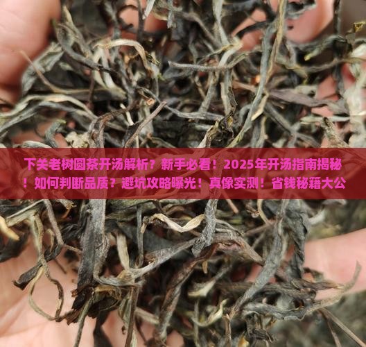 下关老树圆茶开汤