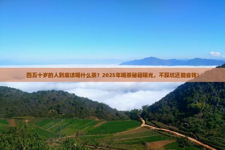 四五十岁的人喝什么茶好