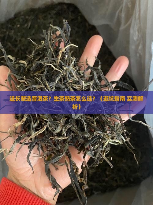 普洱茶生普洱生茶熟茶送长辈