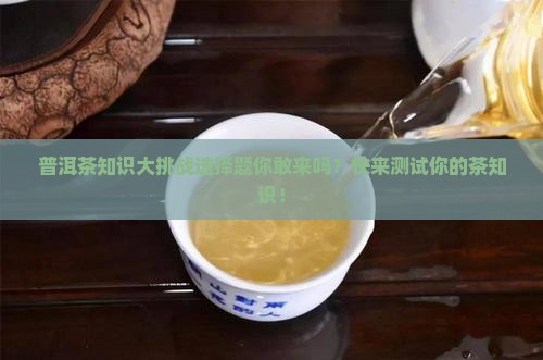 普洱茶知识大挑战选择题