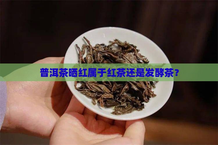 普洱茶晒红属于全发酵还是半发酵