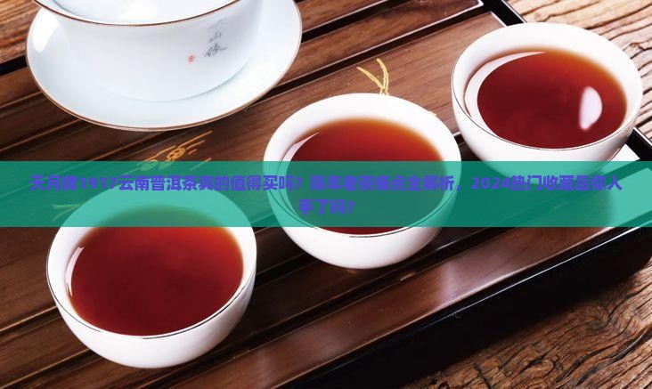 天月牌1917云南普洱茶