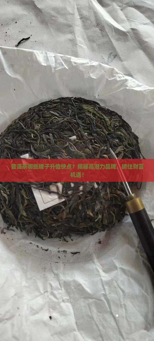 普洱茶哪些牌子升值快点