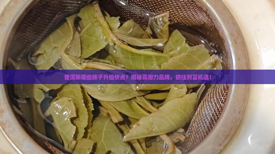 普洱茶哪些牌子升值快点