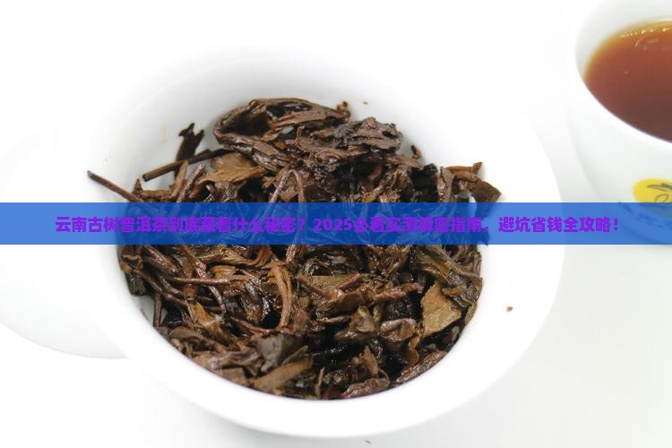 云南古树普洱茶是生茶吗