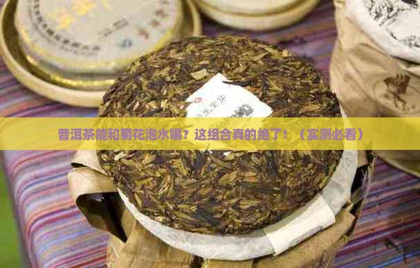 普洱茶能和菊花泡水喝