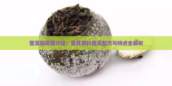普洱茶的详细介绍普洱茶配方特点