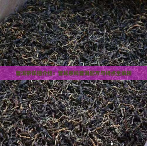 普洱茶的详细介绍普洱茶配方特点
