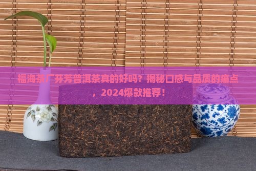 福海茶厂芬芳普洱茶怎么样