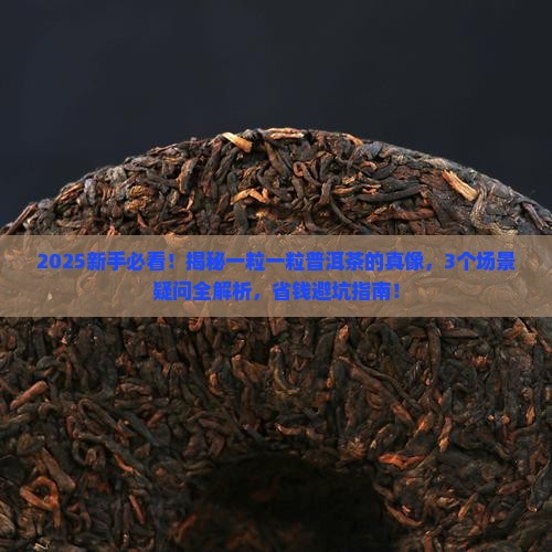 一粒一粒的普洱茶