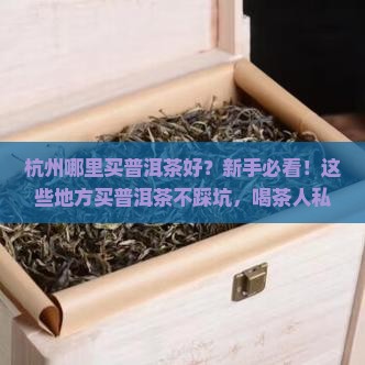 杭州哪里买普洱茶好