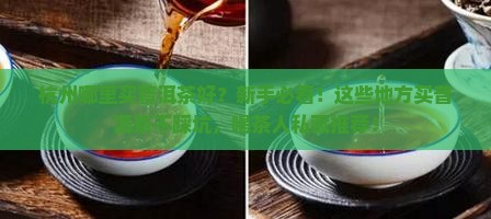 杭州哪里买普洱茶好