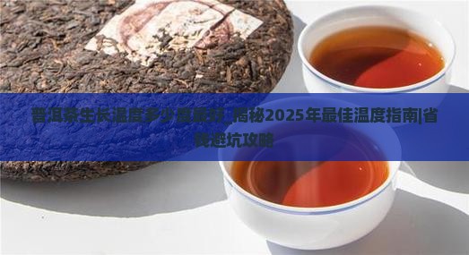 普洱茶生长温度多少度最好