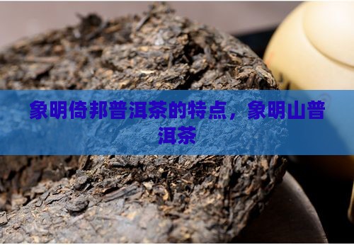 象明倚邦普洱茶