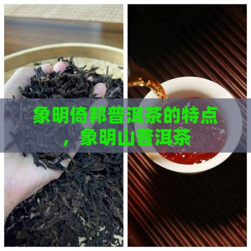 象明倚邦普洱茶
