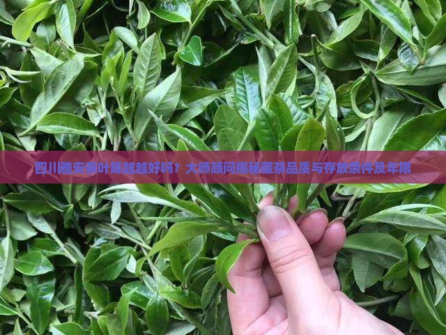四川雅安茶叶藏茶越陈越香好吗