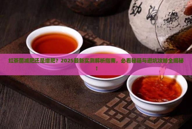 红茶菌减肥还是增肥