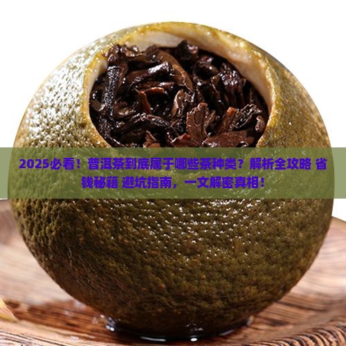 普洱茶属于哪些茶种类的