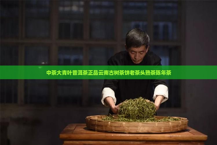 中茶大青叶普洱茶
