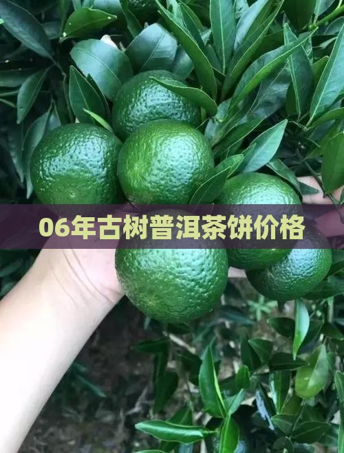 06年古树普洱茶饼价格