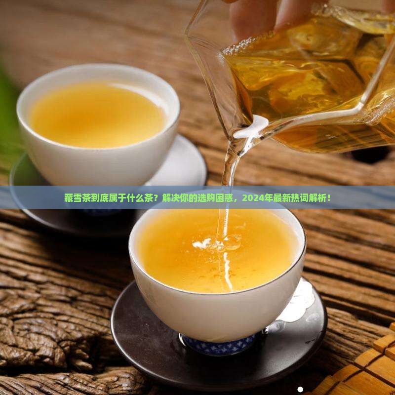 藏雪茶属于什么茶