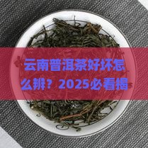 云南普洱茶怎么看质量好坏