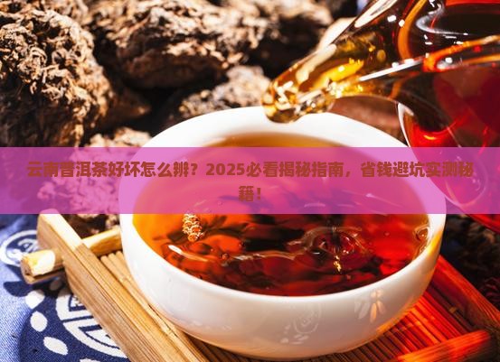 云南普洱茶怎么看质量好坏