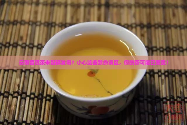 云南普洱茶未敲碎发霉