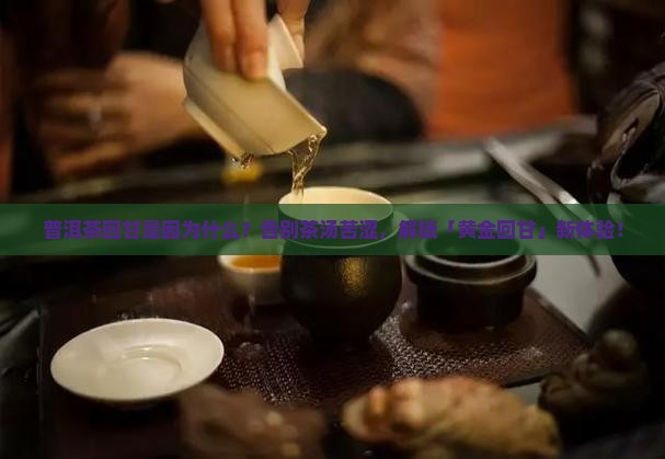 普洱茶回甘是因为什么