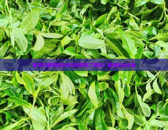 普洱柠檬茶的功效与作用