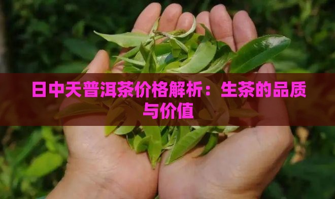 赤日中天普洱生茶