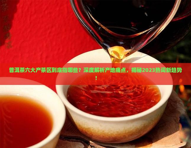 普洱茶六大产茶区指哪些