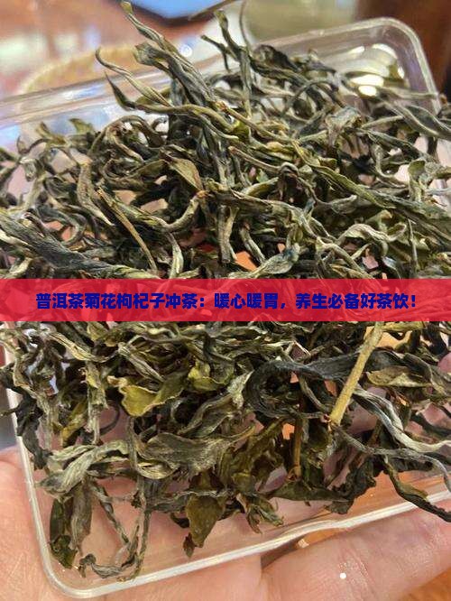 普洱茶菊花枸杞子冲茶