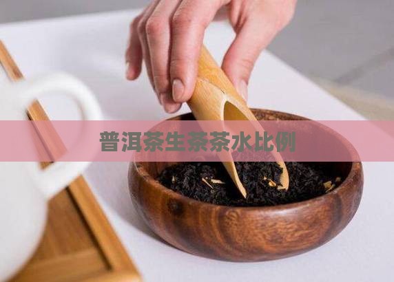 普洱茶生茶茶水比例