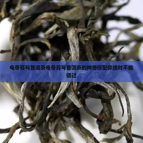 龟苓膏与普洱茶