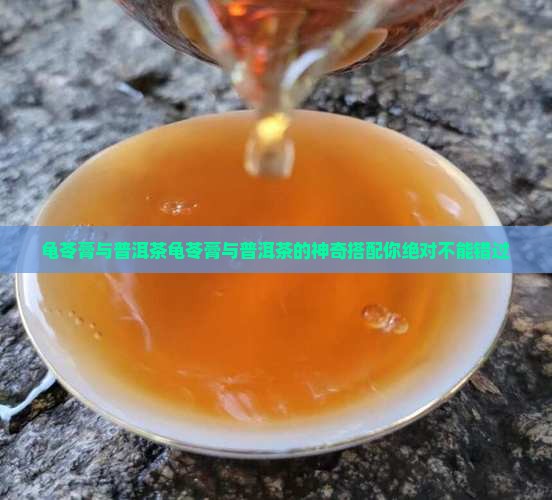 龟苓膏与普洱茶