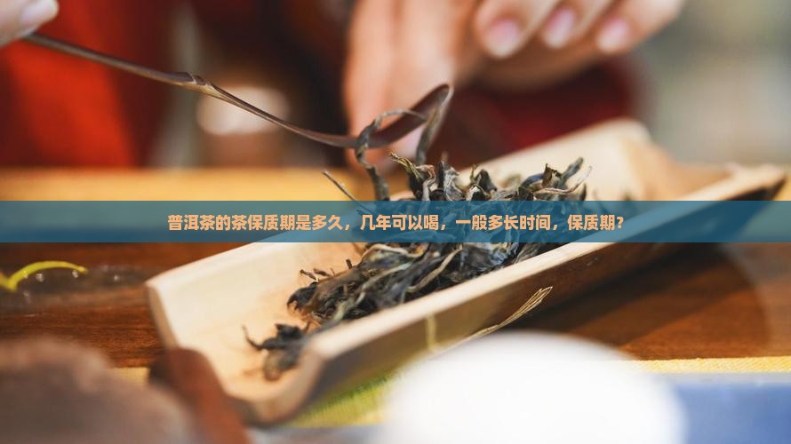 普洱茶的茶保质期