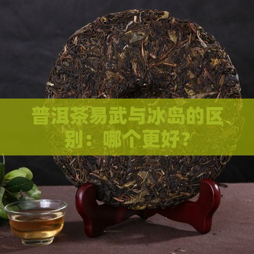 普洱茶易武好还是冰岛好