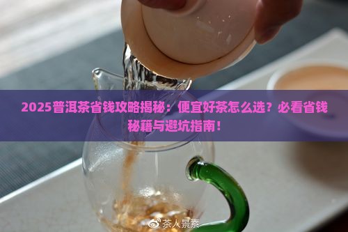 普洱茶多少钱一斤便宜的