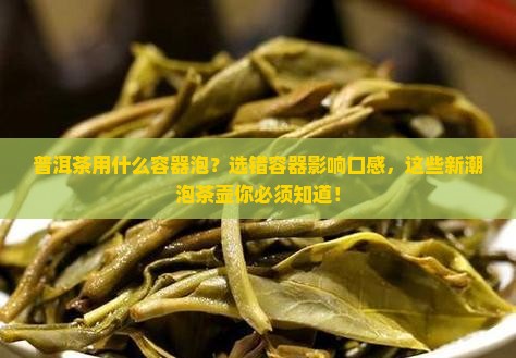 普洱茶用什么容器泡