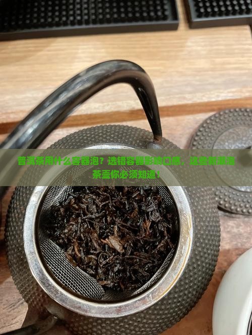 普洱茶用什么容器泡