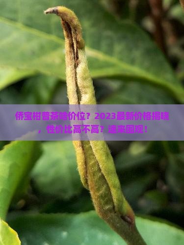 侨宝柑普茶啥价位