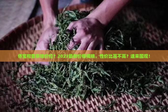 侨宝柑普茶啥价位